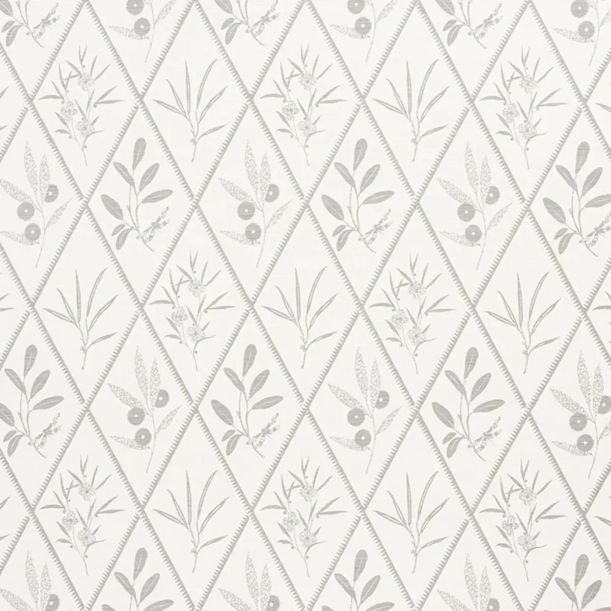 Endimione_ GREY