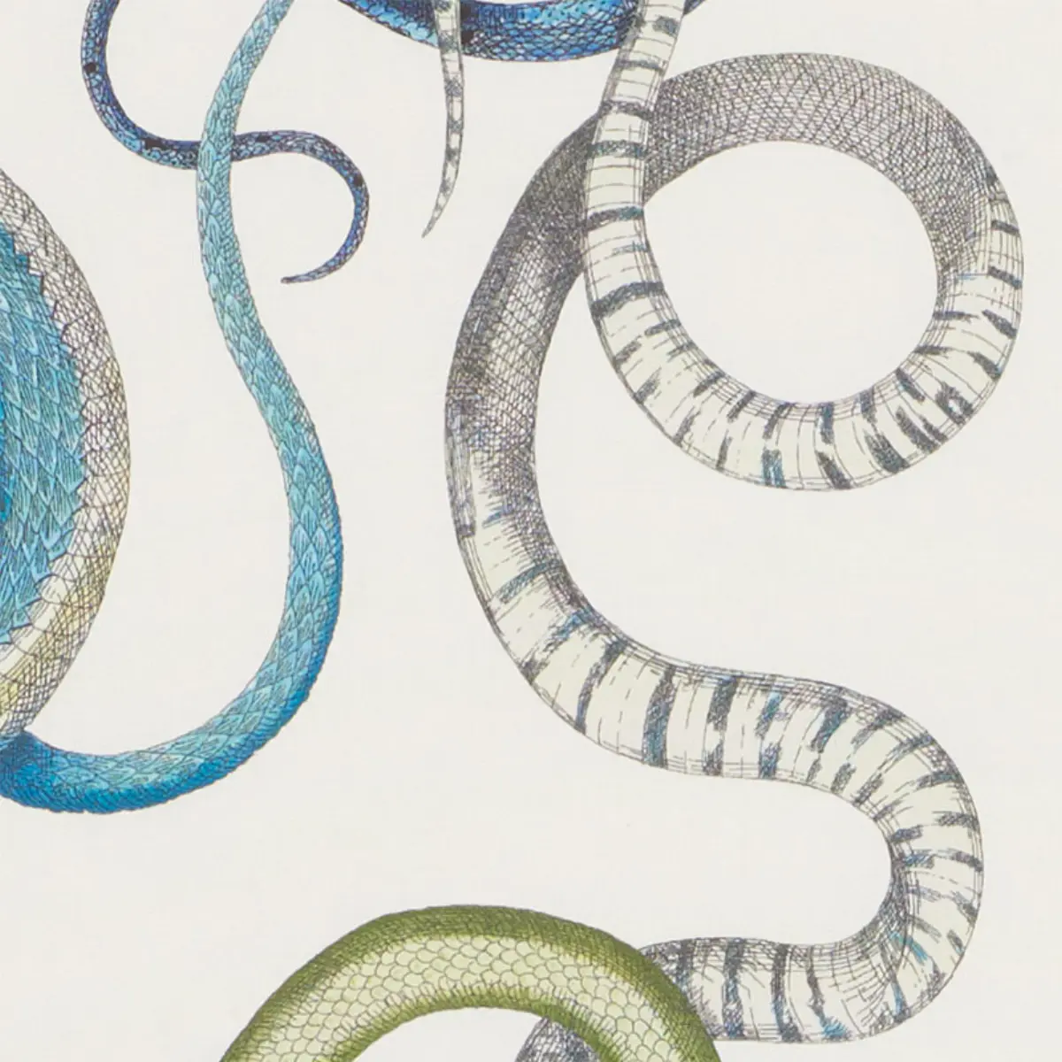 GIOVE_ EMERALD & SAPPHIRE