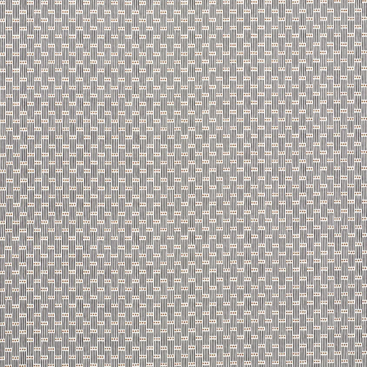 DOTTED STRIPE_ CARBON