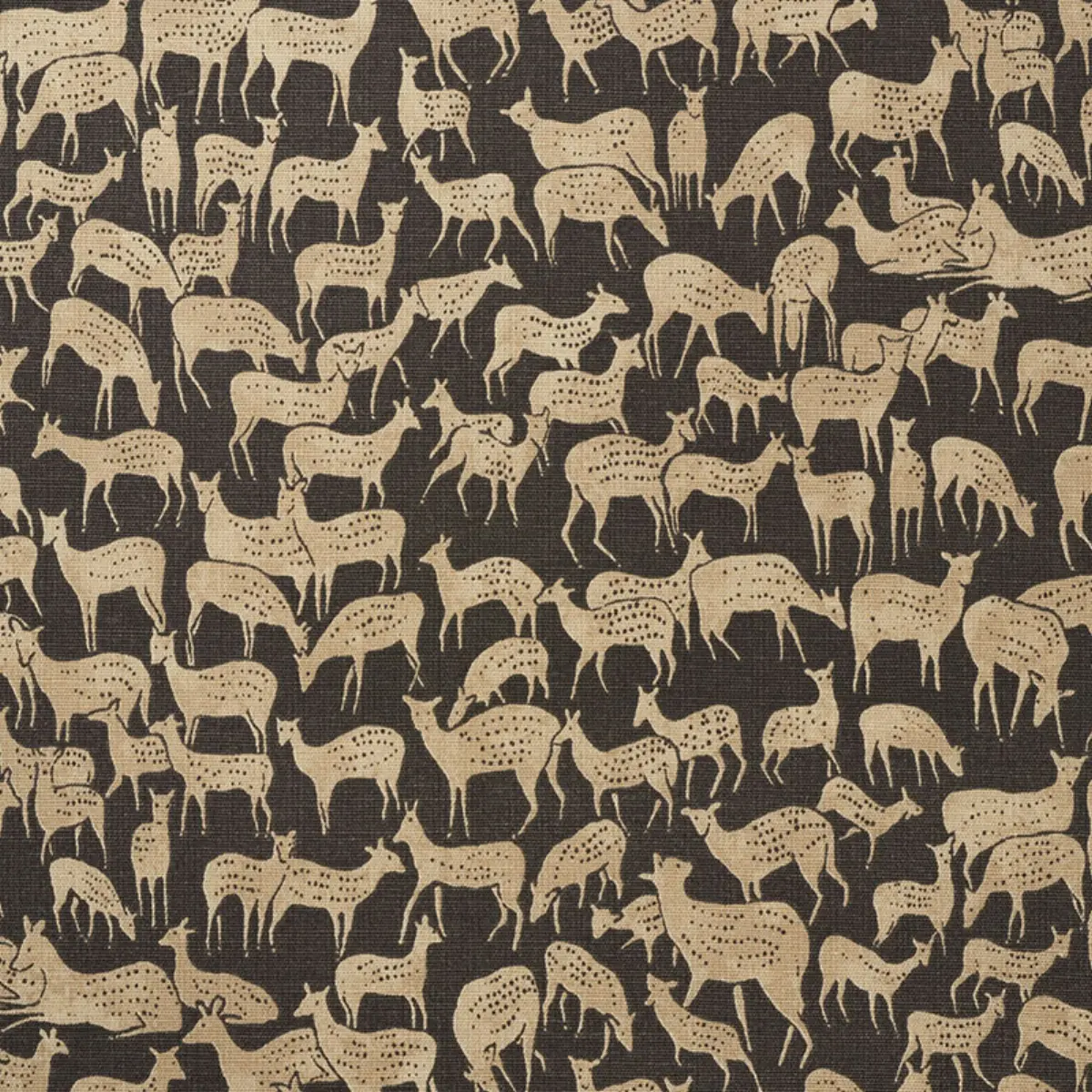 FAUNA_ CARBON