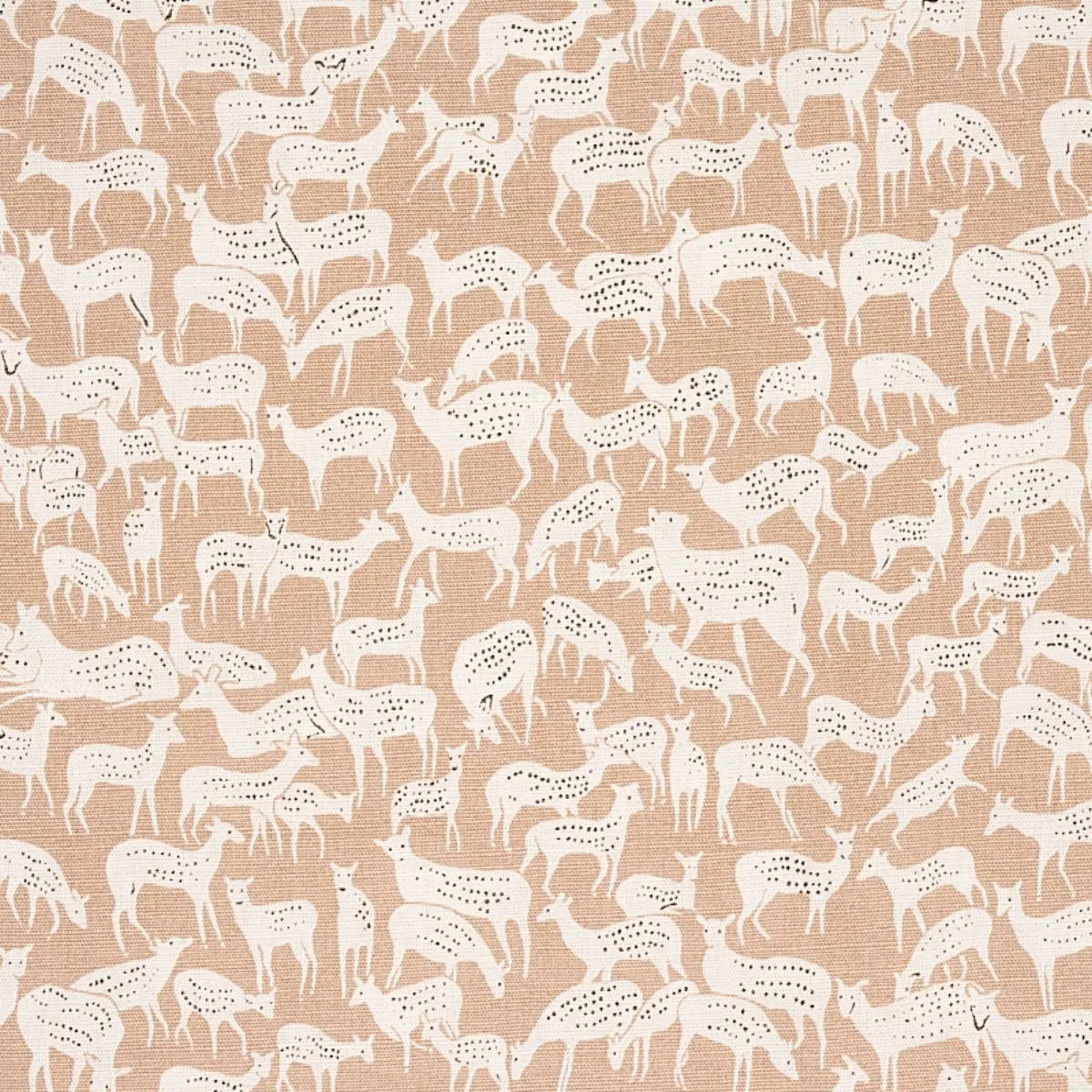 FAUNA_ FAWN