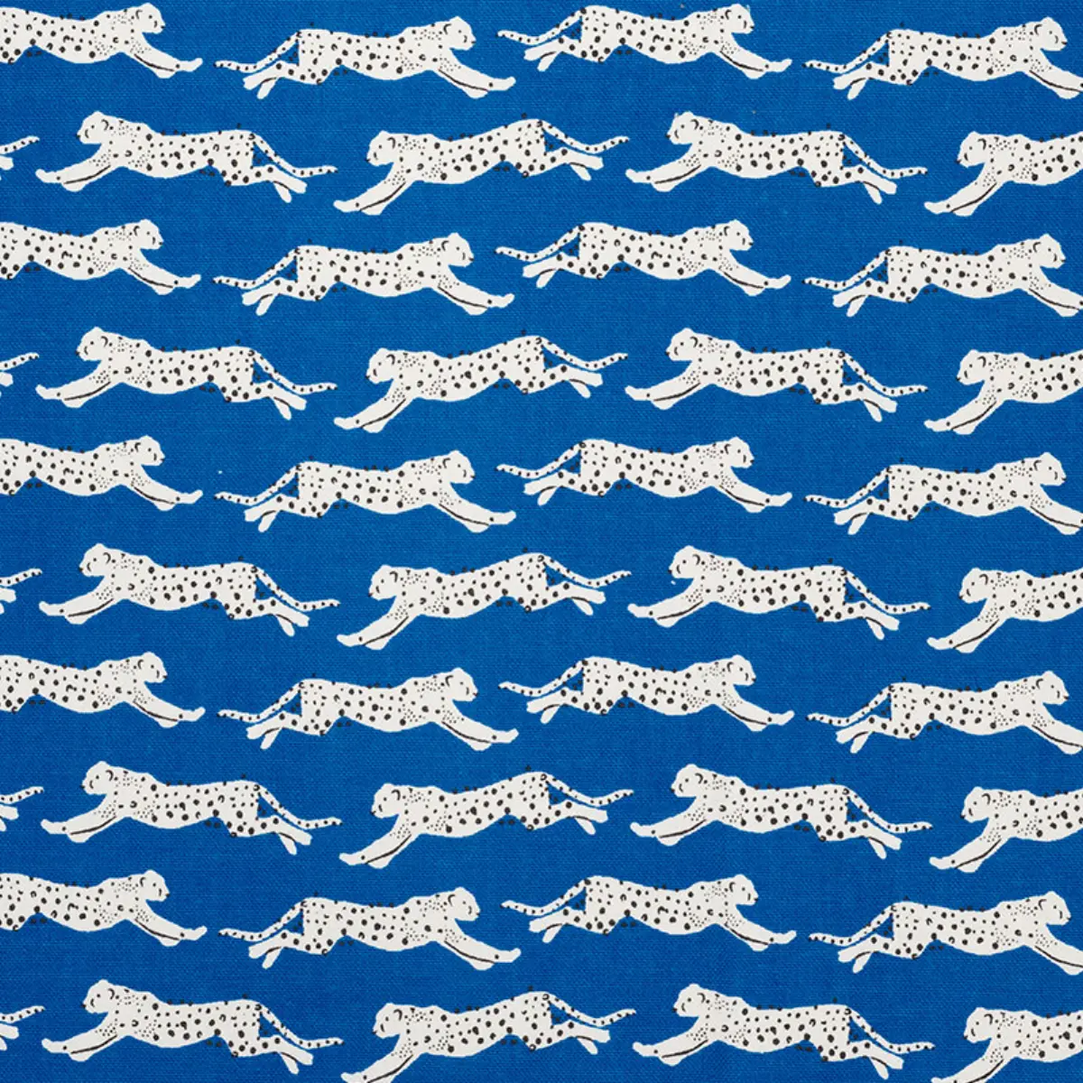 LEAPING LEOPARDS_ BLUE