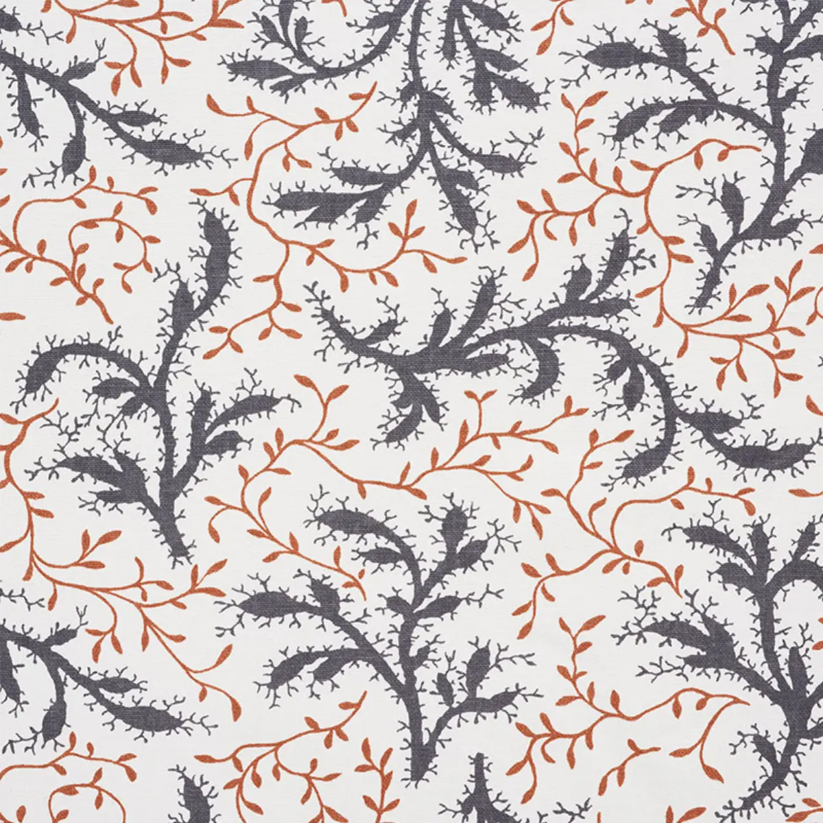 SPRIG_ BASALT & FAWN