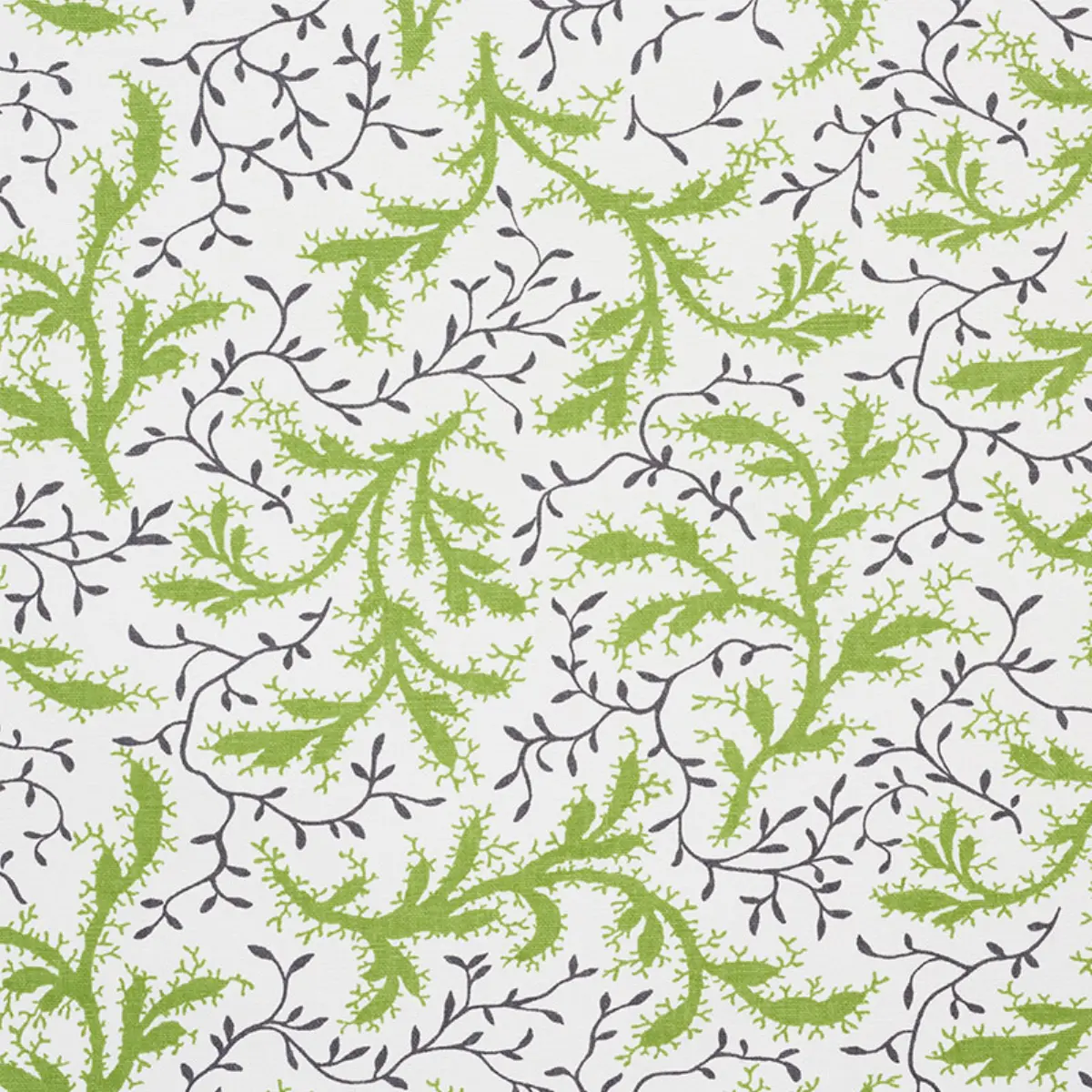 SPRIG_ MOSS