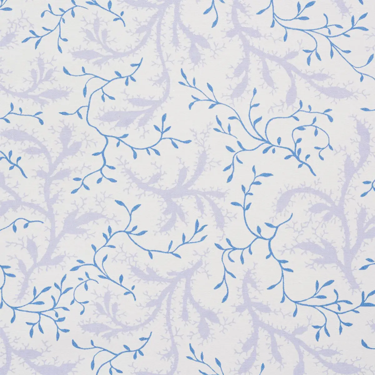 SPRIG_ WISTERIA
