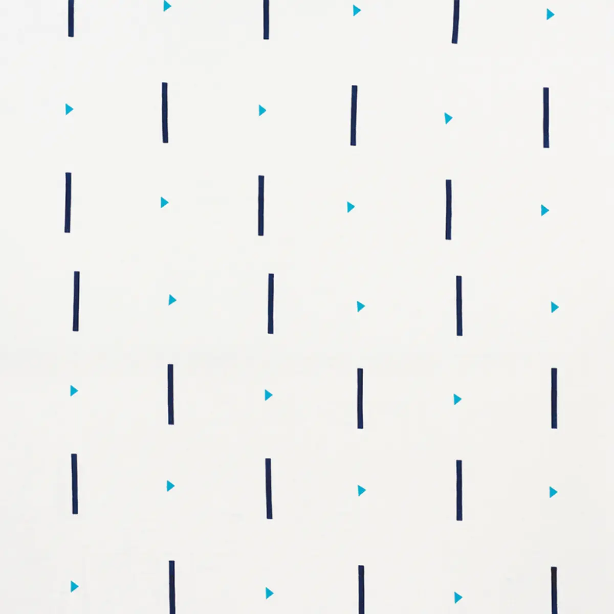 TASHMOO HAND BLOCK PRINT_ BLACK & WHITE