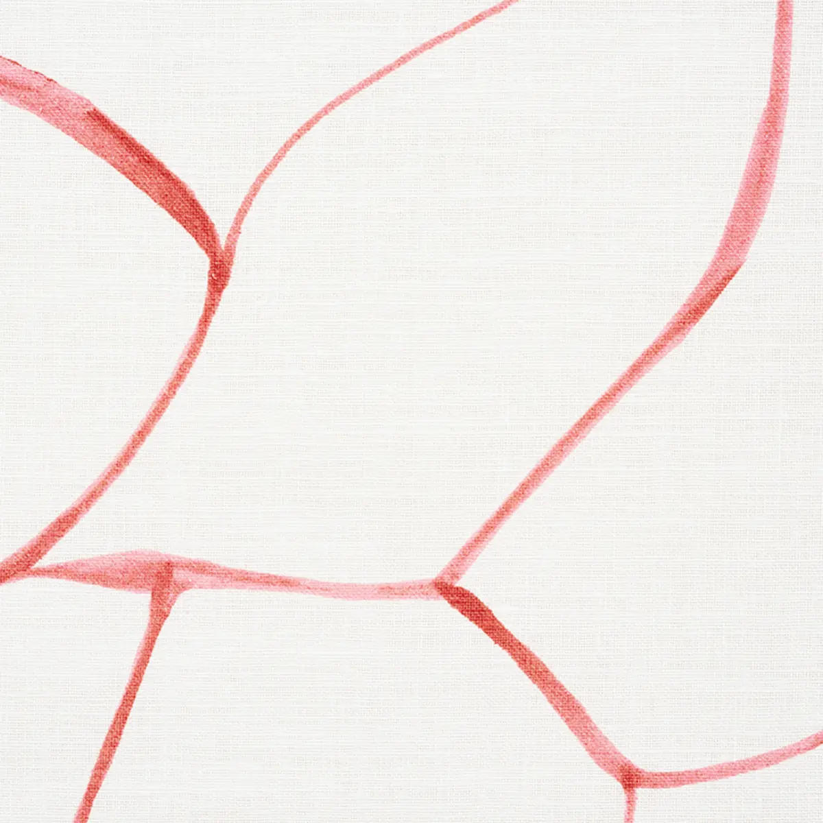 FILIGREE_ CORAL