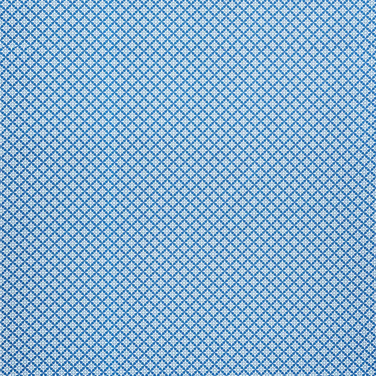 Serendipity_ BLUE