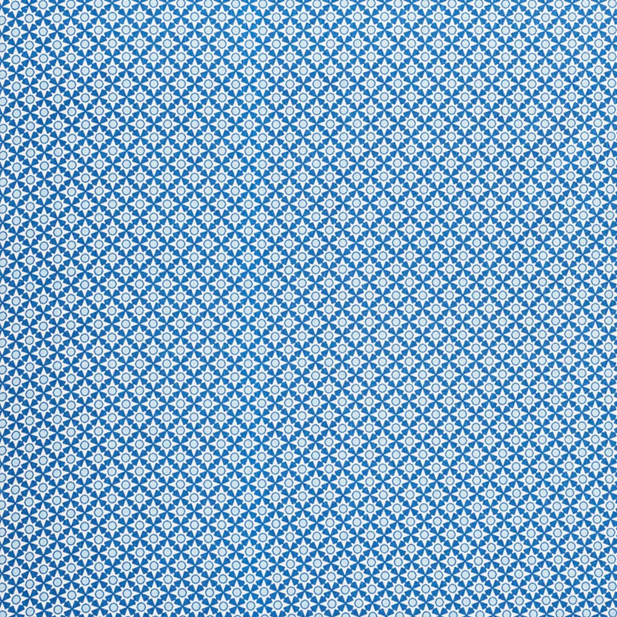 Serendipity_ BLUE