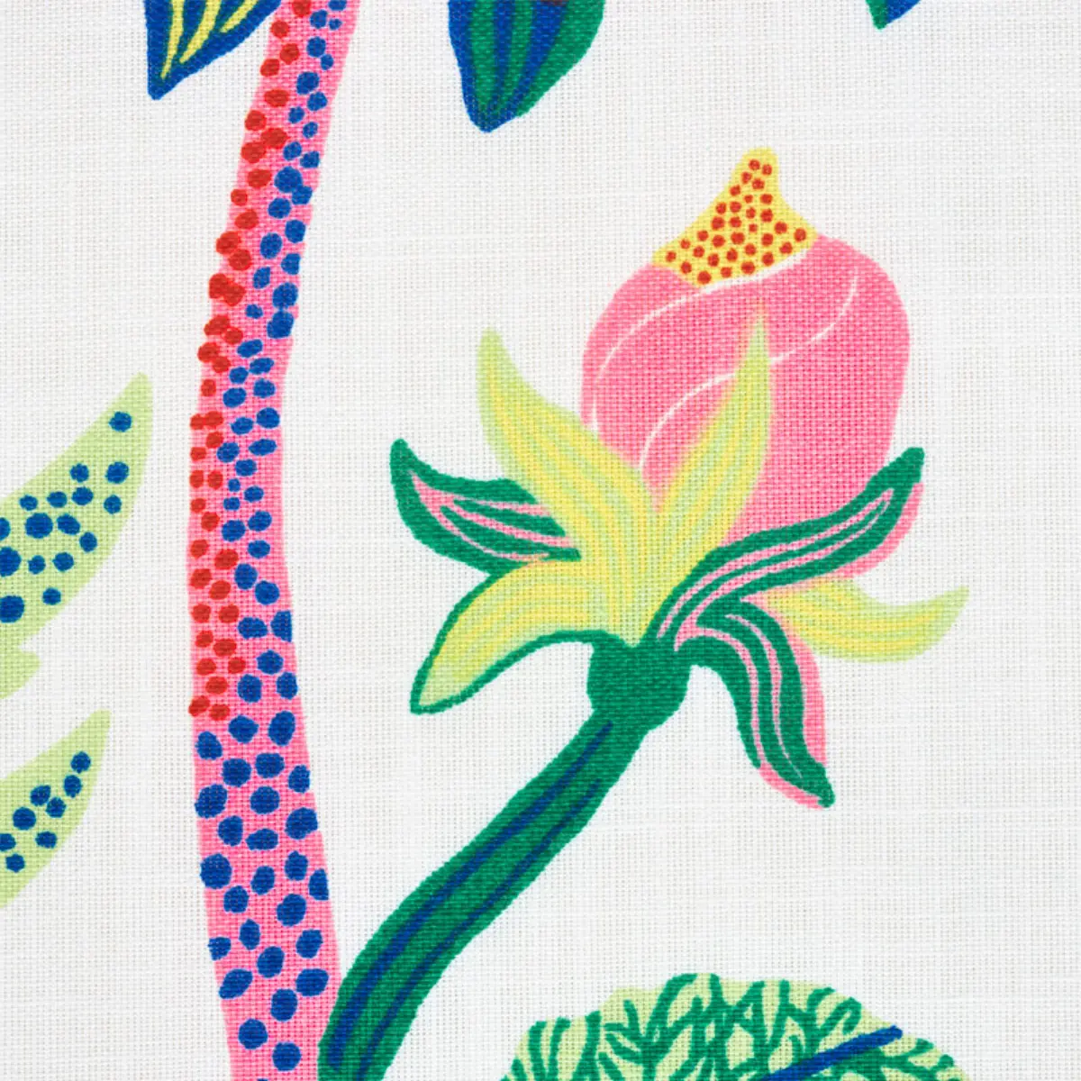 EXOTIC BUTTERFLY INDOOR/OUTDOOR_ SPRING