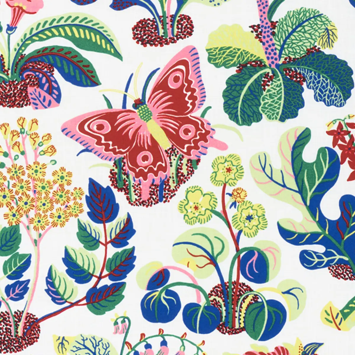 EXOTIC BUTTERFLY INDOOR/OUTDOOR_ SPRING
