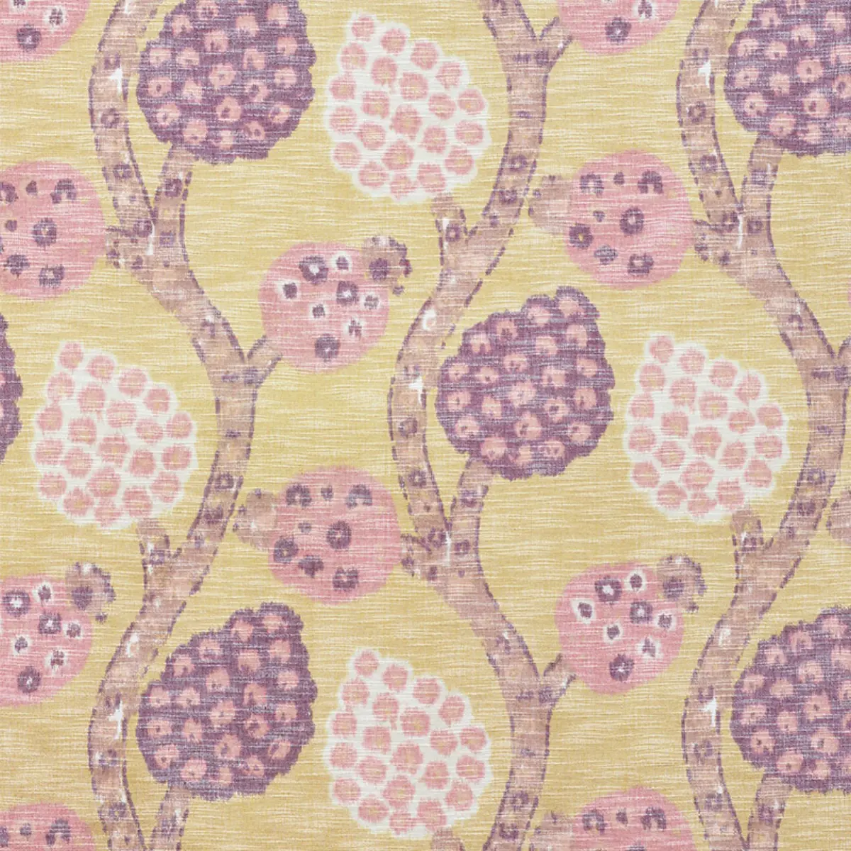 ANNABEL WARP PRINT_ GOLD