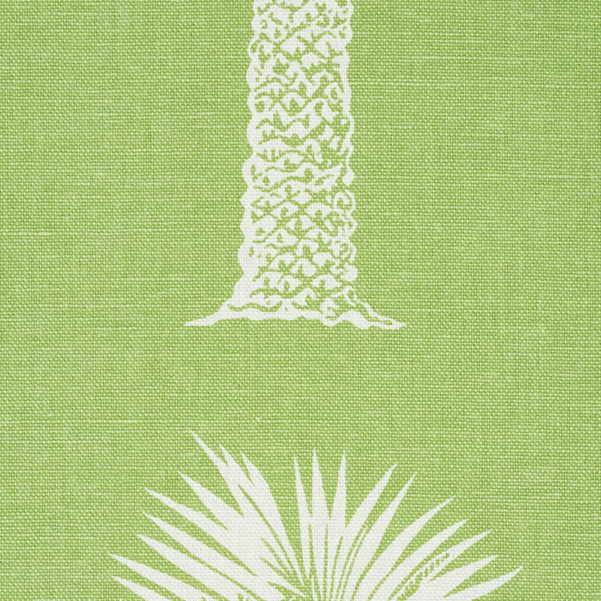 GRAND PALMS_ LEAF