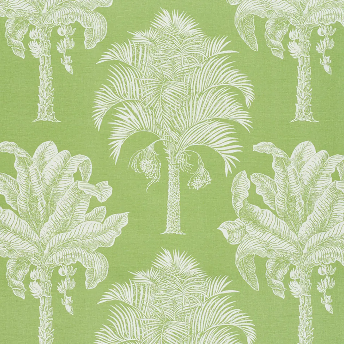 GRAND PALMS_ LEAF