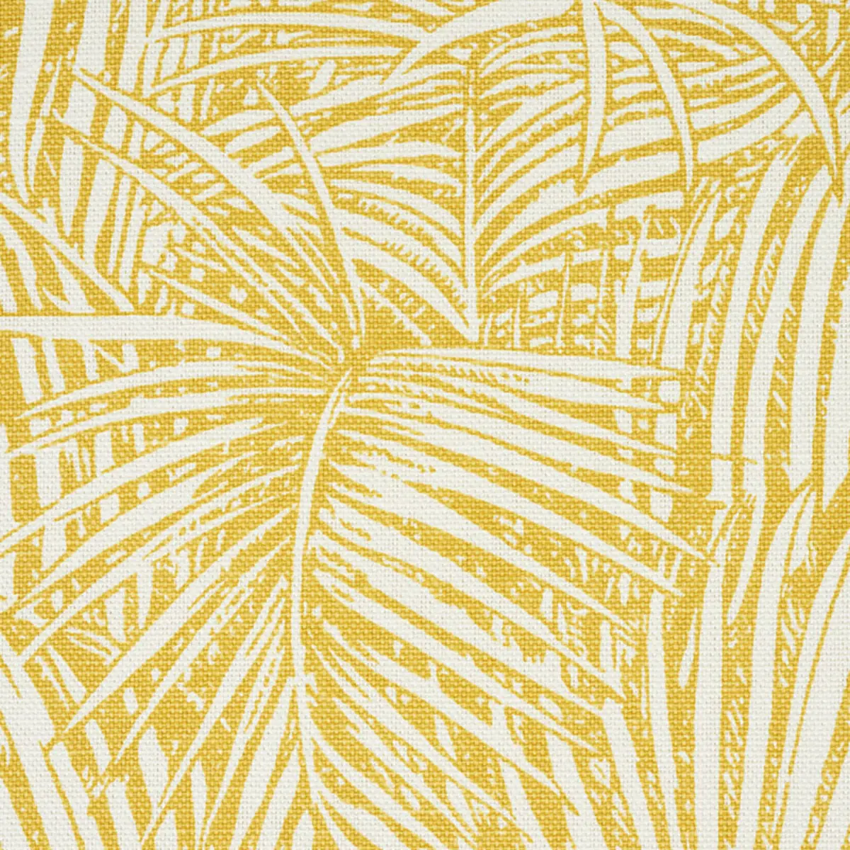 GRAND PALMS_ GOLD