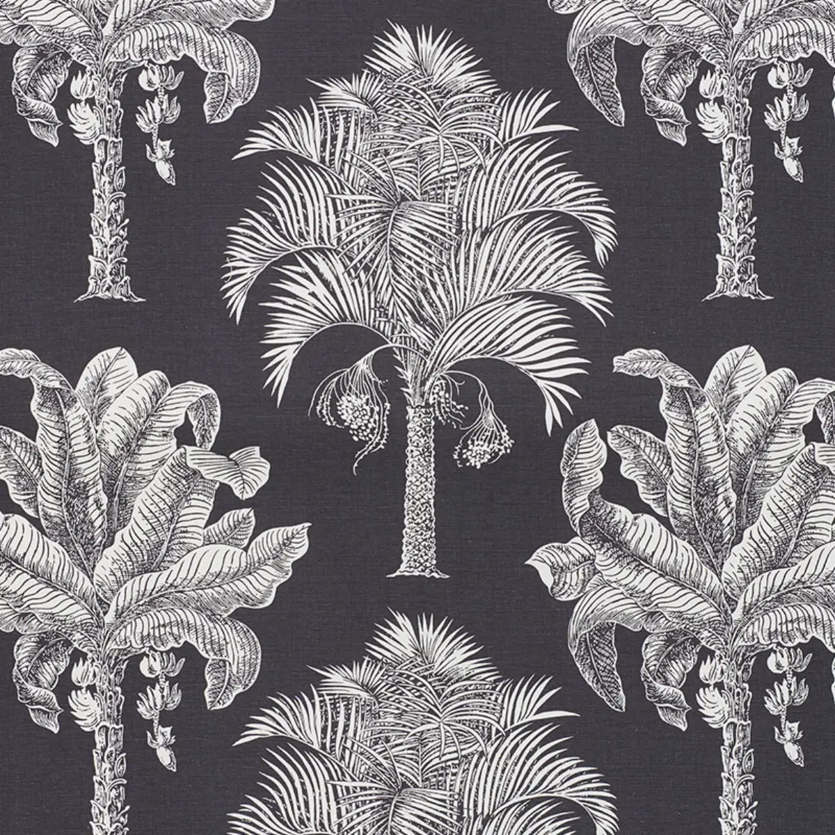 GRAND PALMS_ CARBON