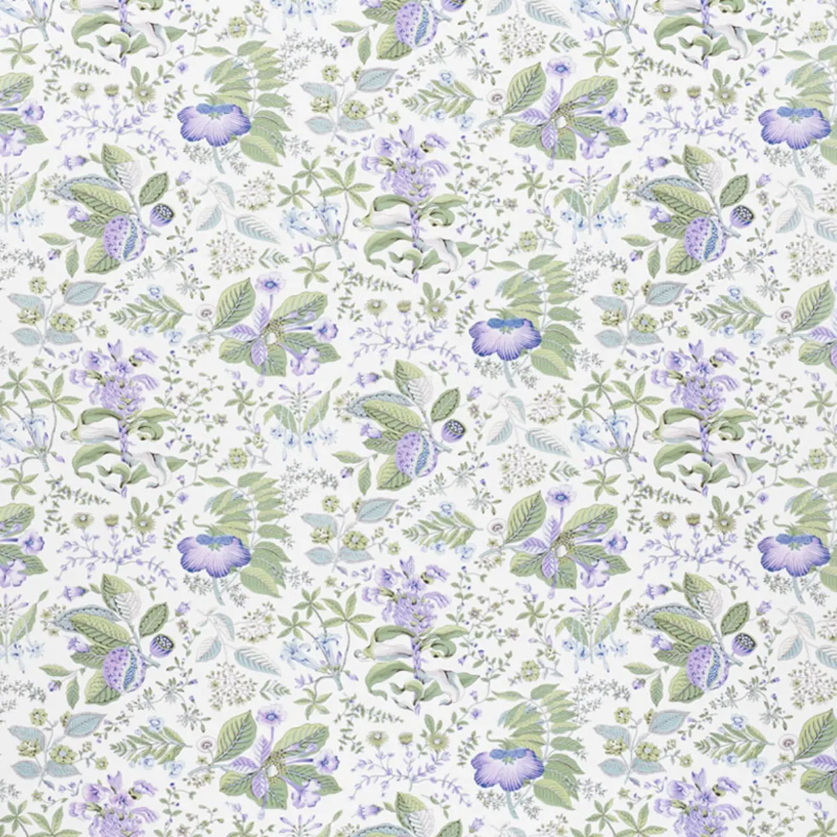 POMEGRANATE BOTANICAL_ PURPLE