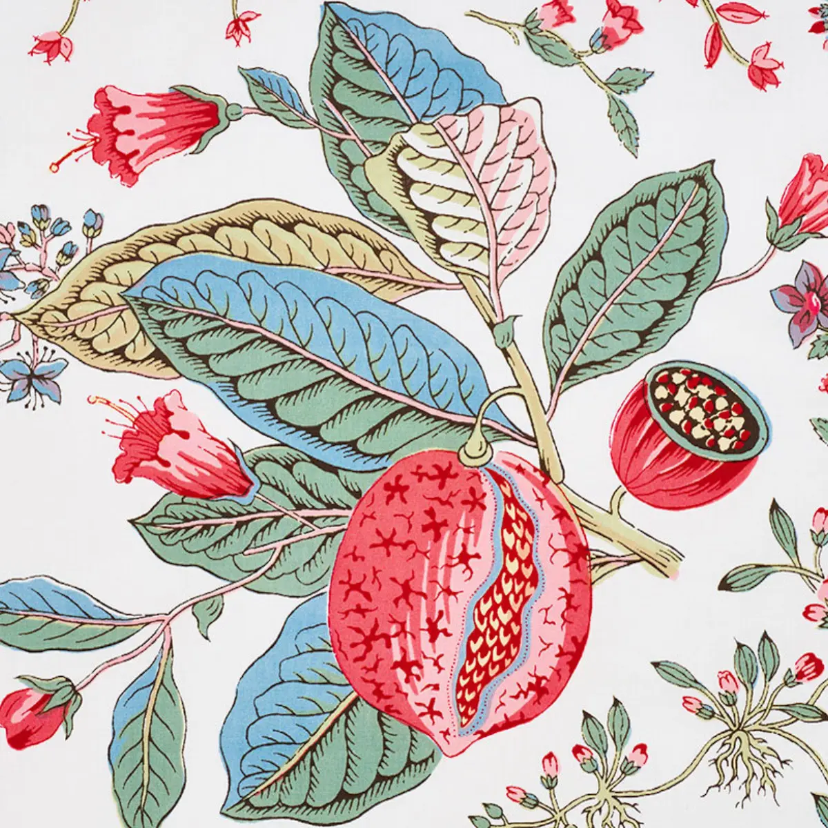 POMEGRANATE BOTANICAL_ DOCUMENT