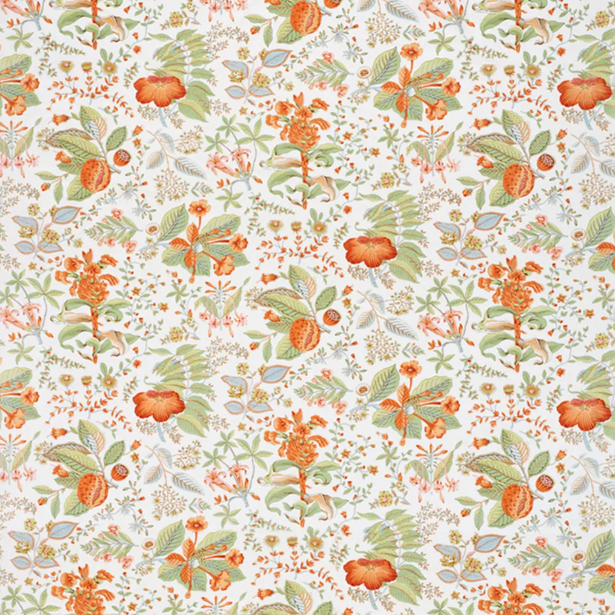 POMEGRANATE BOTANICAL_ ORANGE