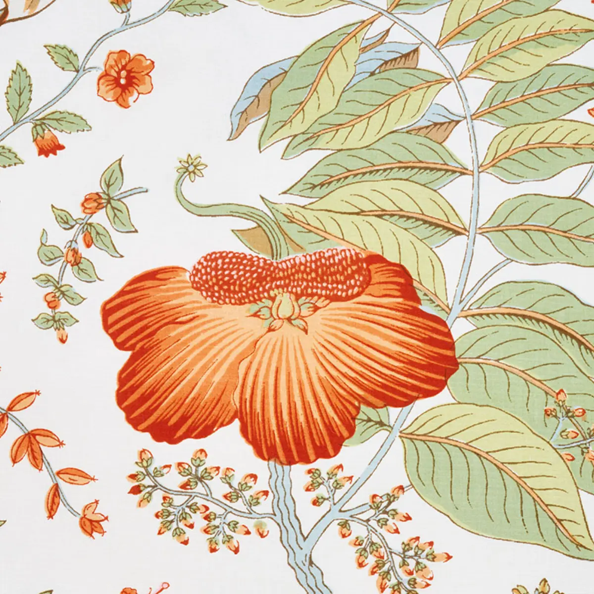POMEGRANATE BOTANICAL_ ORANGE