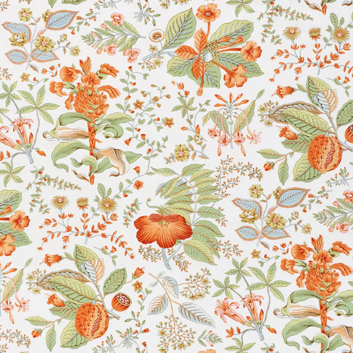 POMEGRANATE BOTANICAL_ ORANGE