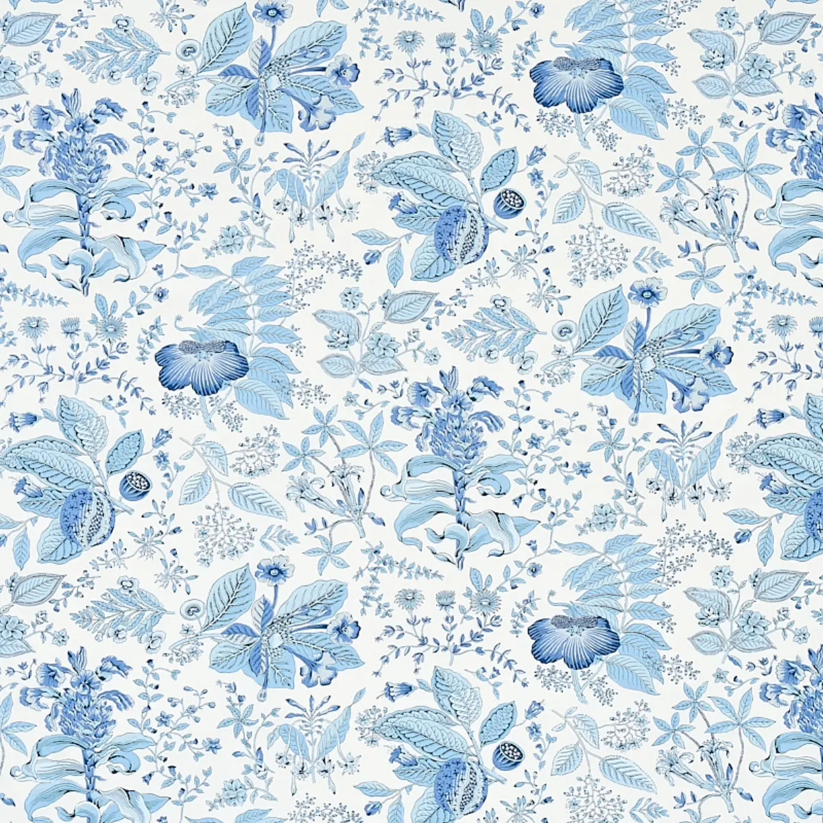POMEGRANATE BOTANICAL_ BLUE