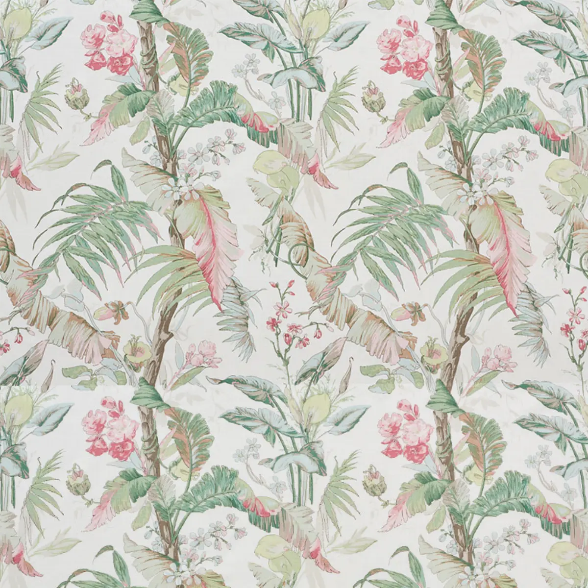 TROPIQUE_ BLUSH