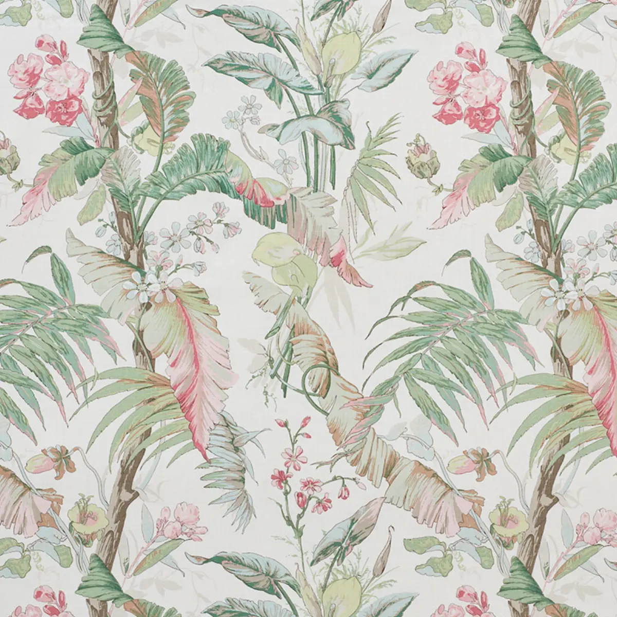 TROPIQUE_ BLUSH