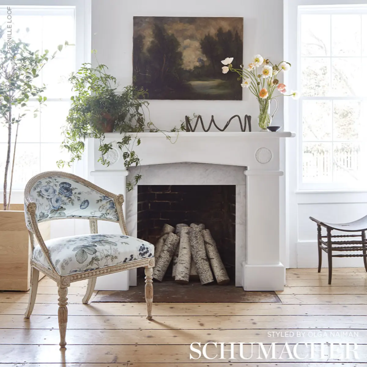 SALISBURY CHINTZ_ CELADON