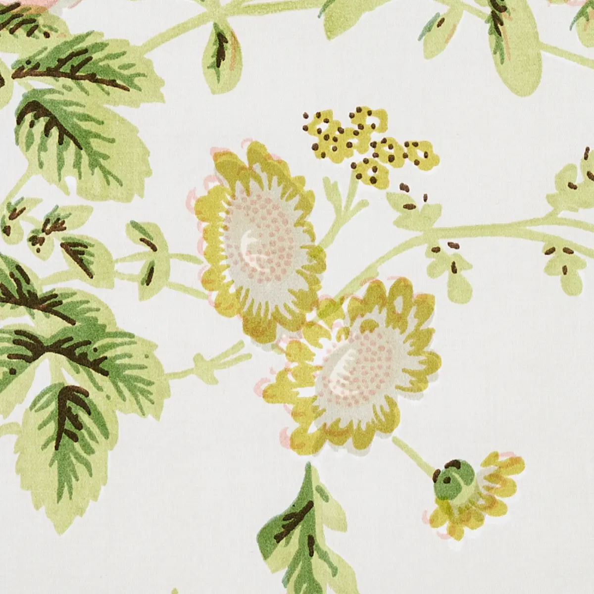 SALISBURY CHINTZ_ BLUSH