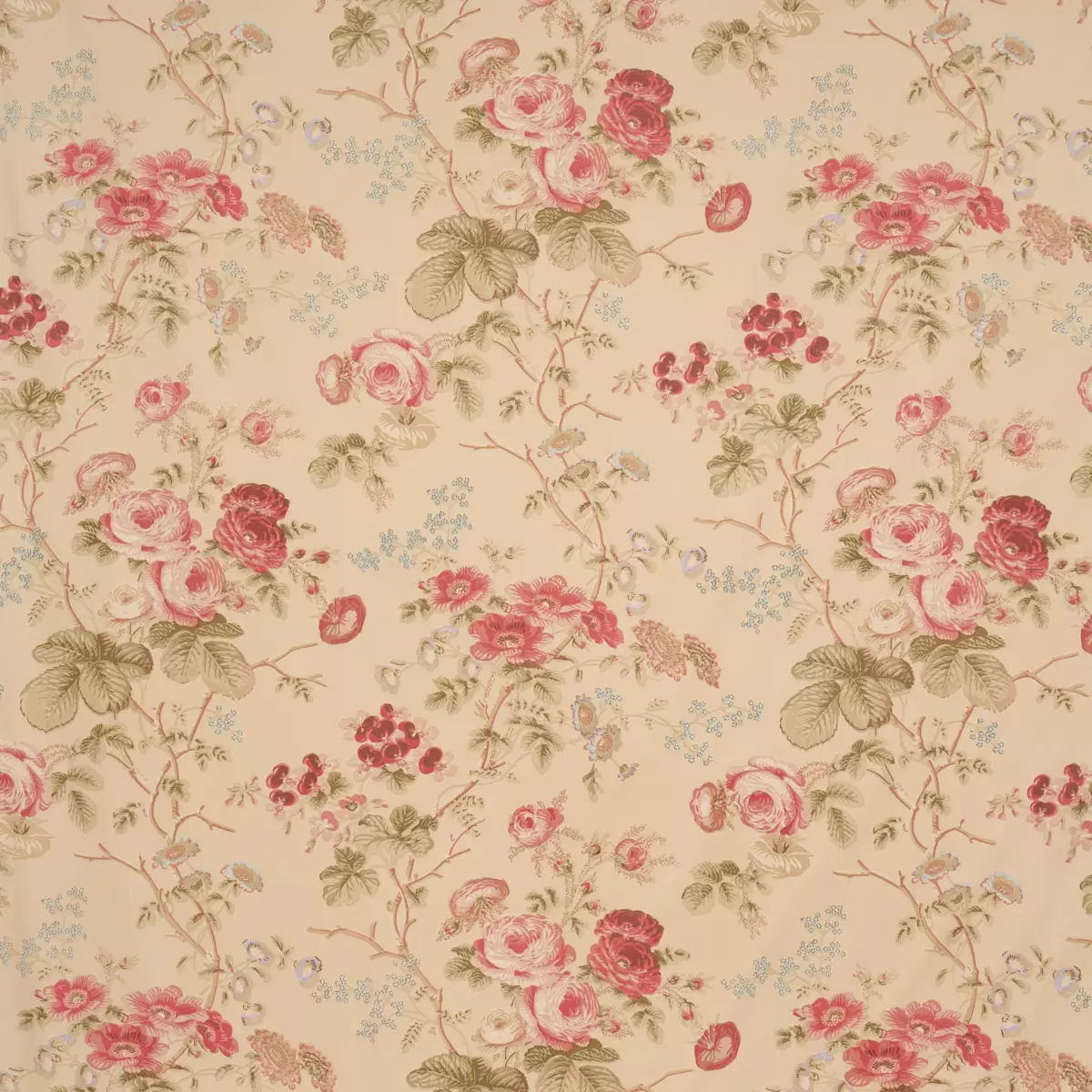 SALISBURY CHINTZ_ BUTTER