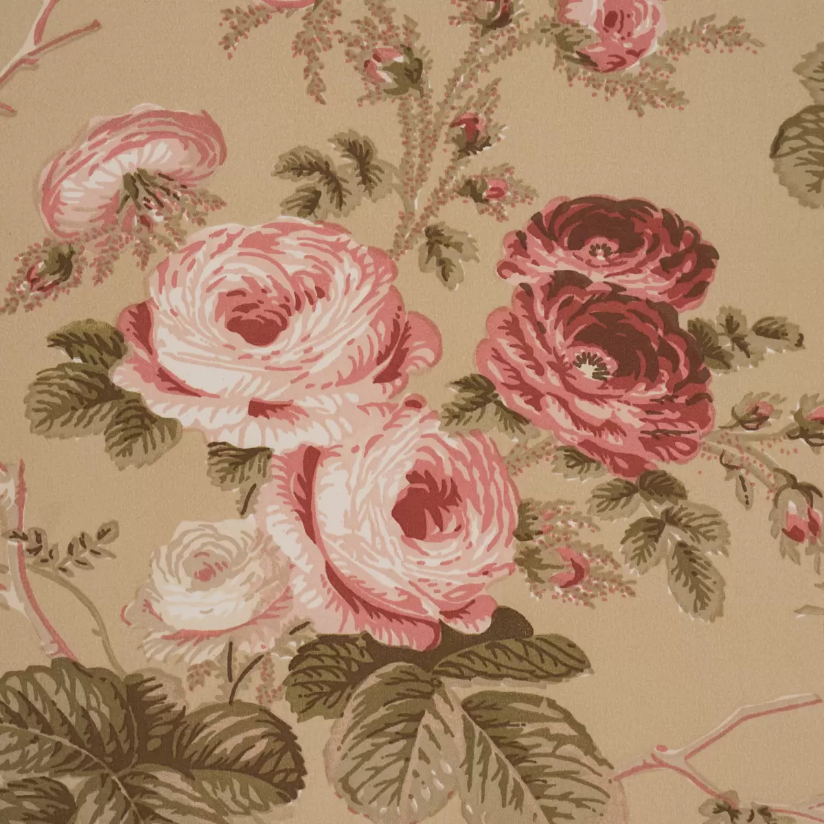 SALISBURY CHINTZ_ TOBACCO