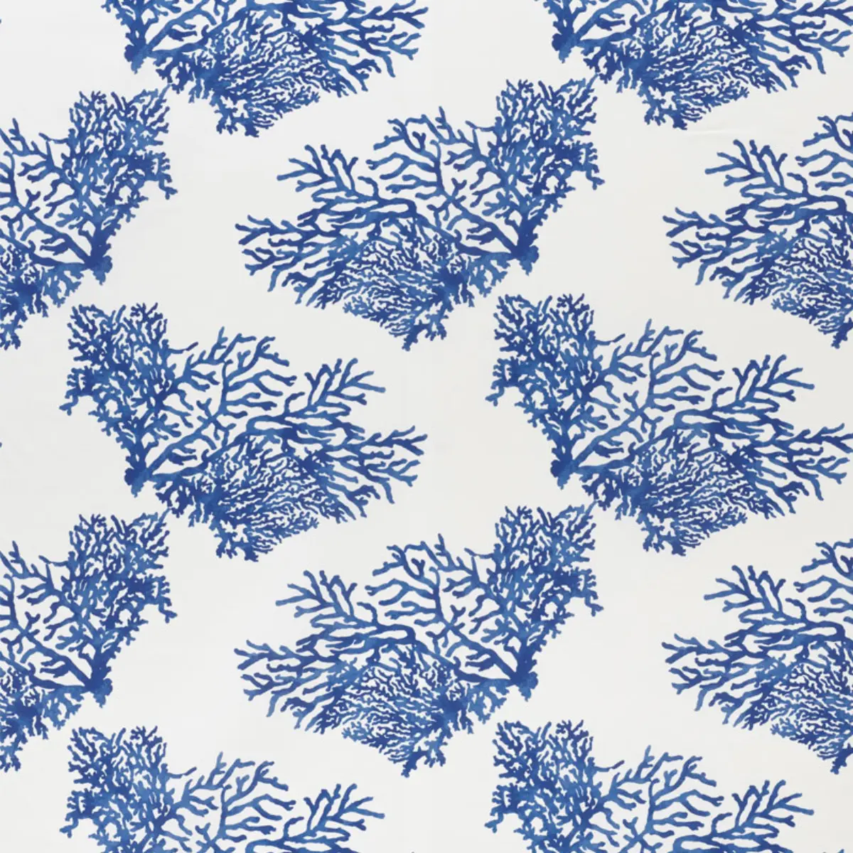 GREAT BARRIER REEF II_ INDIGO
