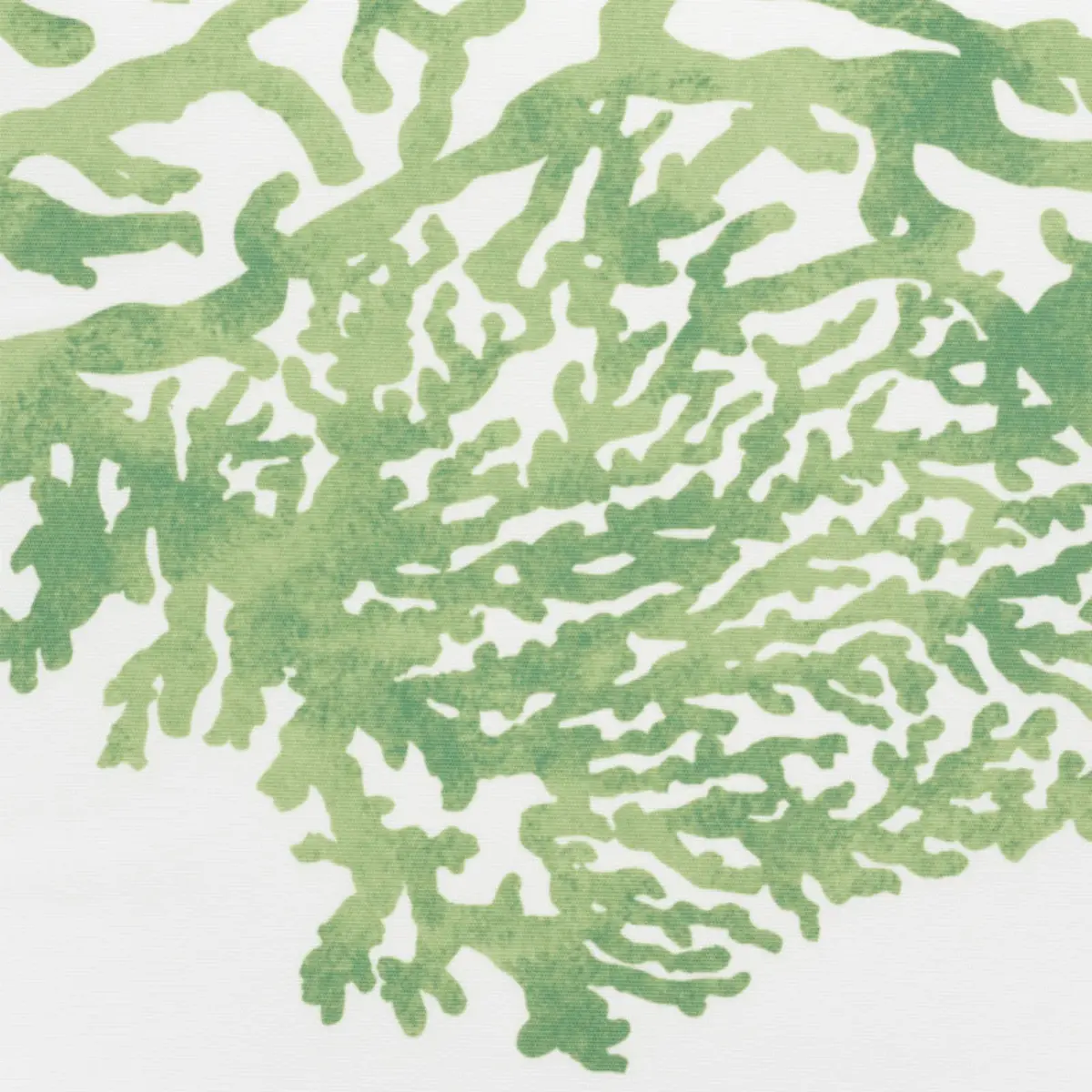 GREAT BARRIER REEF II_ GREEN