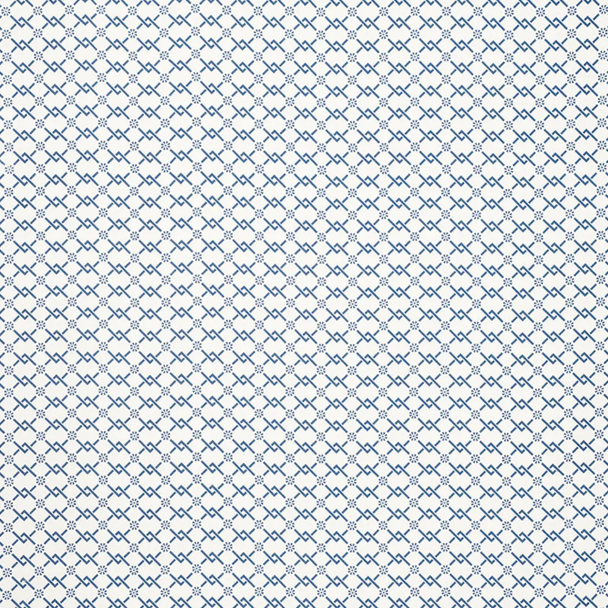 FRETWORK FLOWER_ PACIFIC