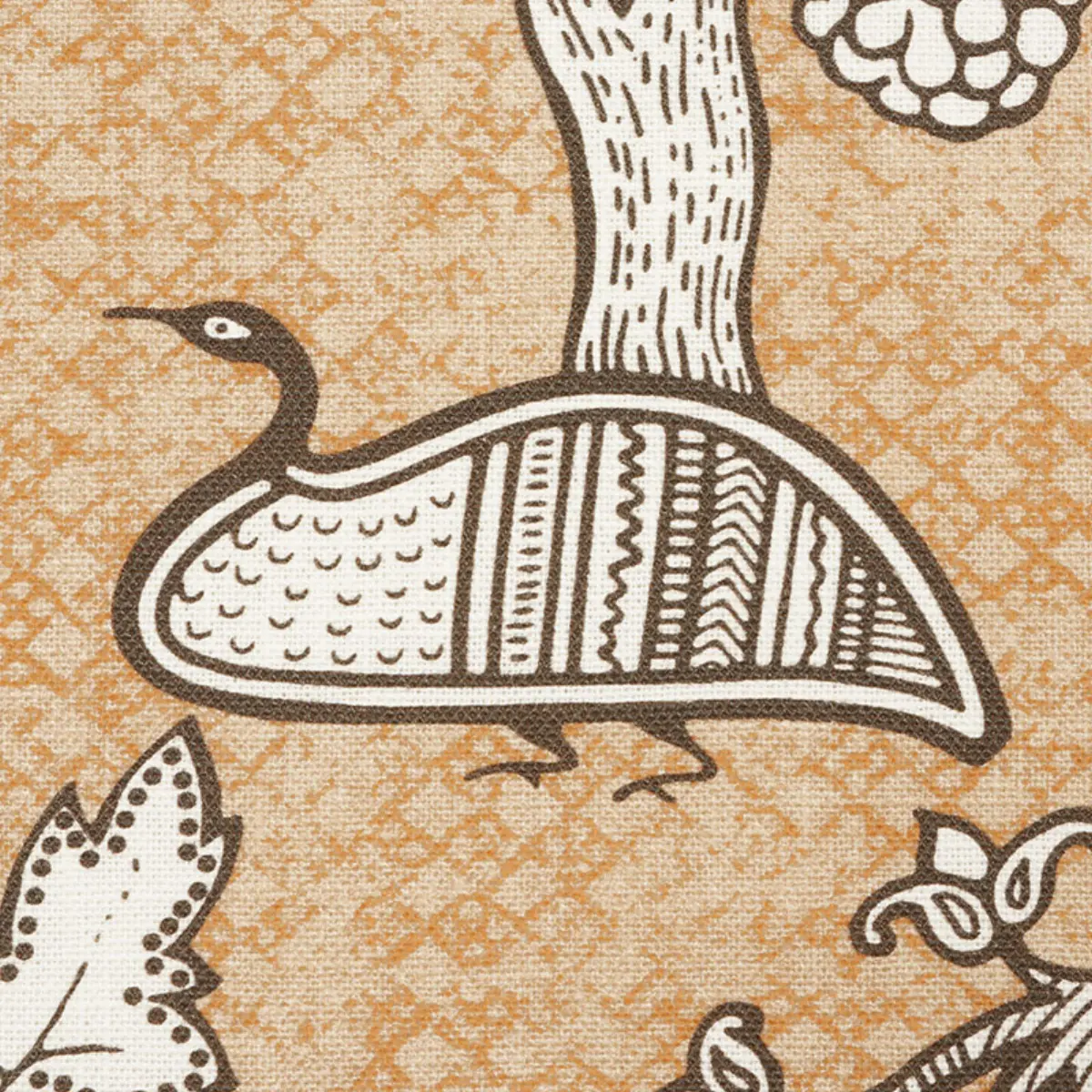 ANIMALIA_ CARBON & SIENNA