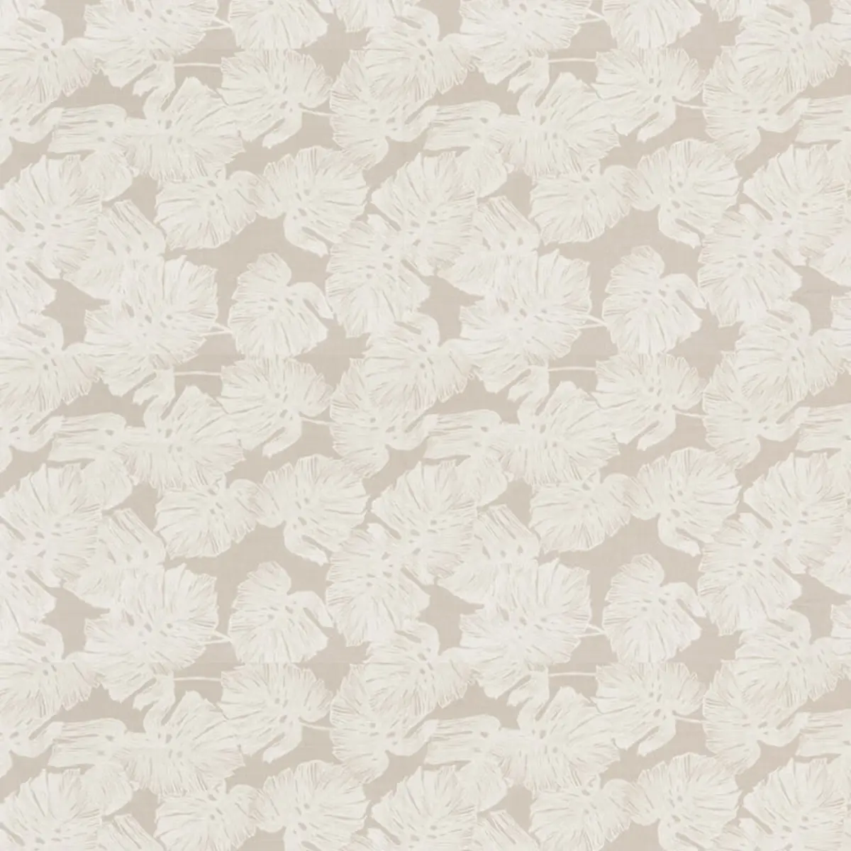 DEL COCO SHEER_ NATURAL