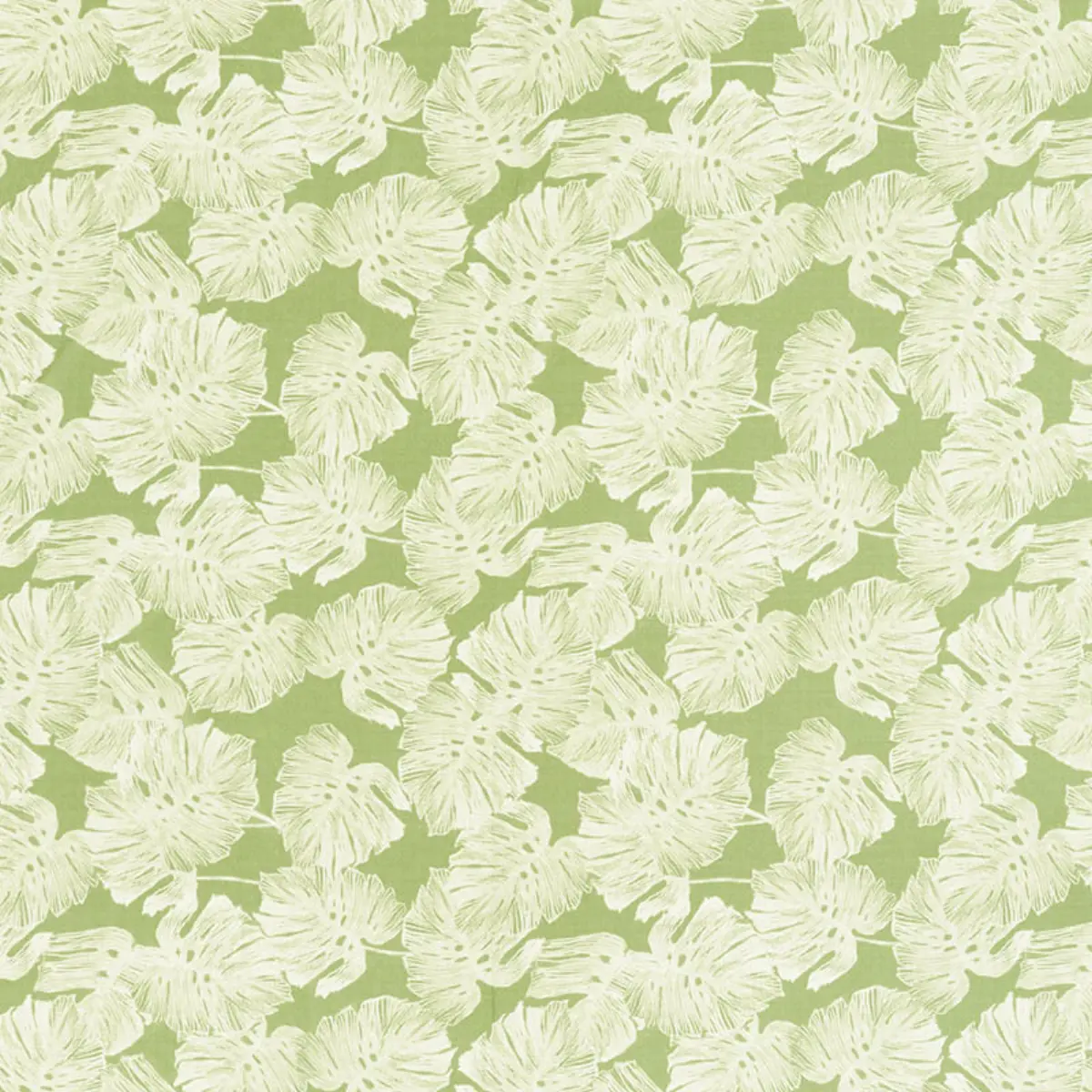 DEL COCO SHEER_ LEAF