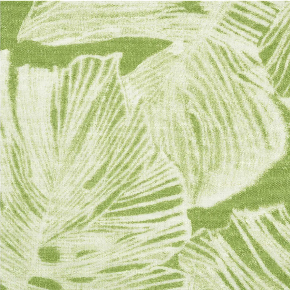 DEL COCO SHEER_ LEAF