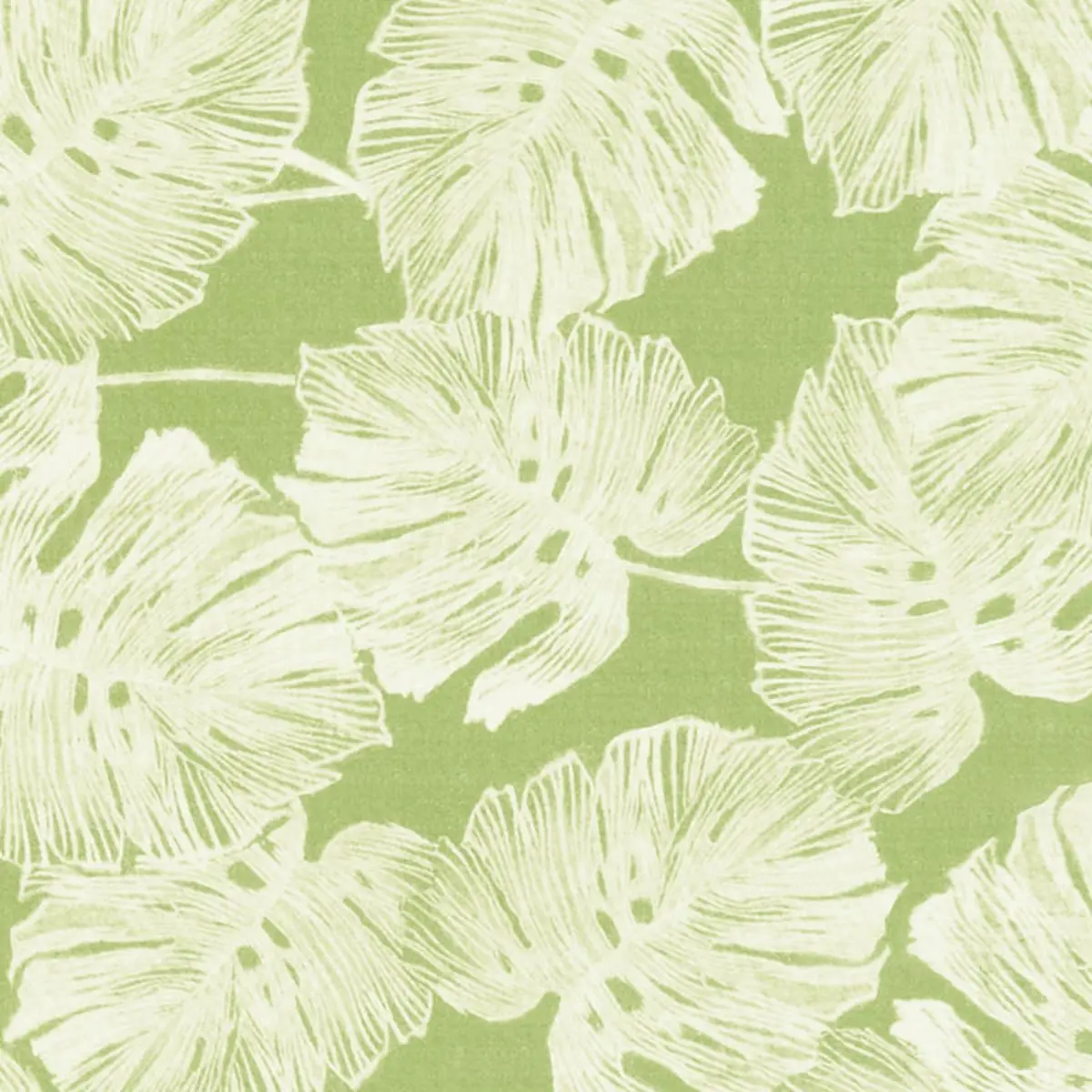 DEL COCO SHEER_ LEAF