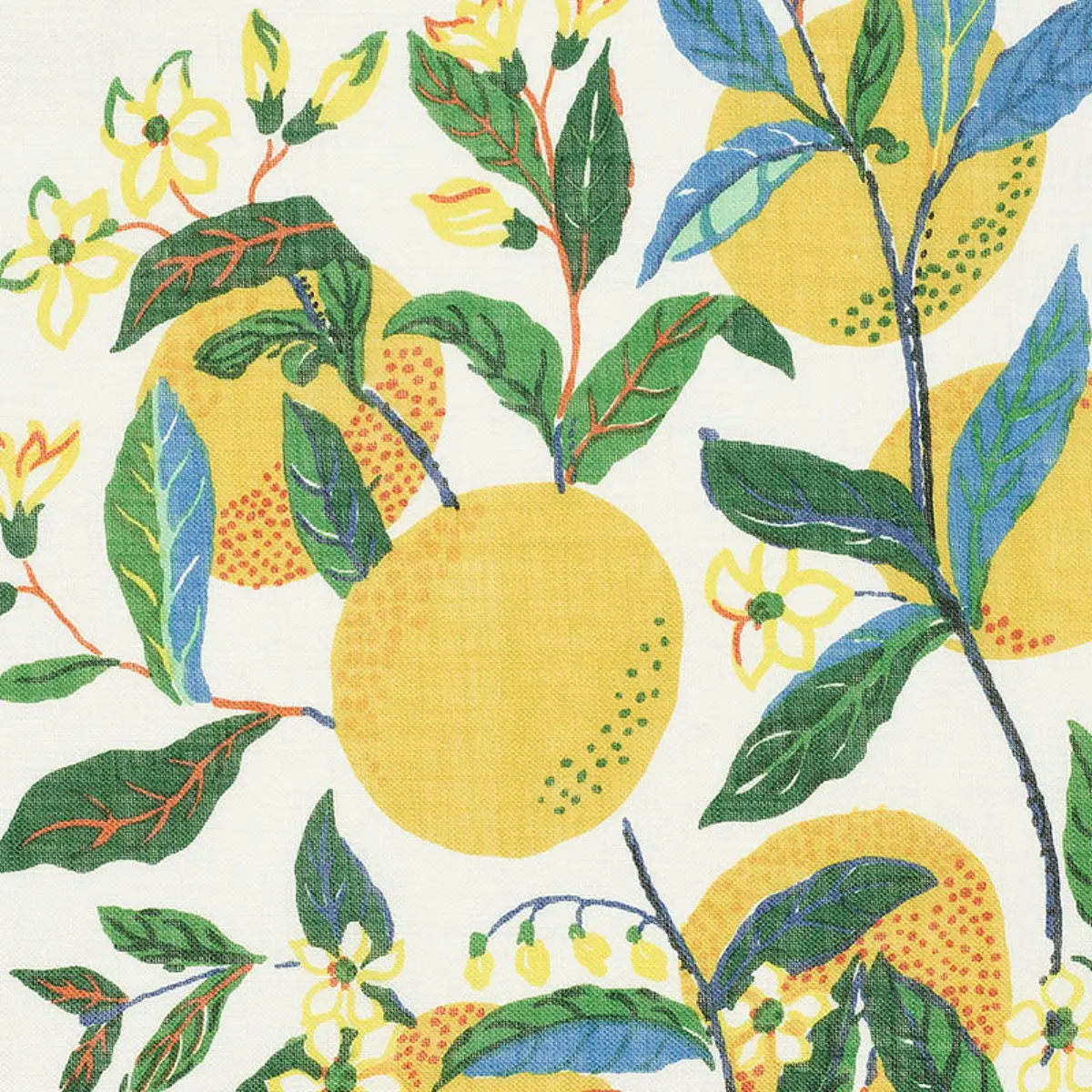 CITRUS GARDEN SHEER_ PRIMARY