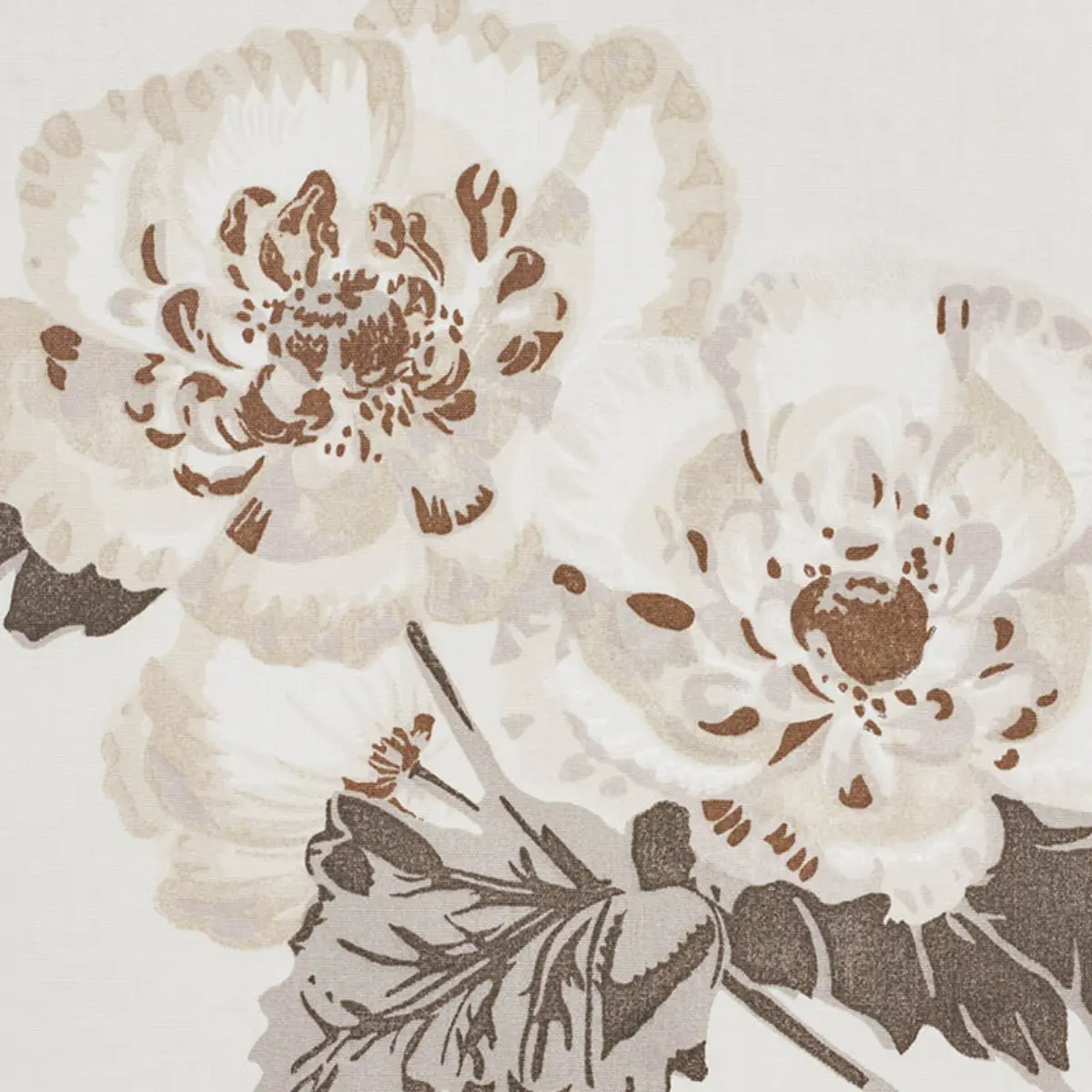 BETTY CHINTZ_ CHARCOAL