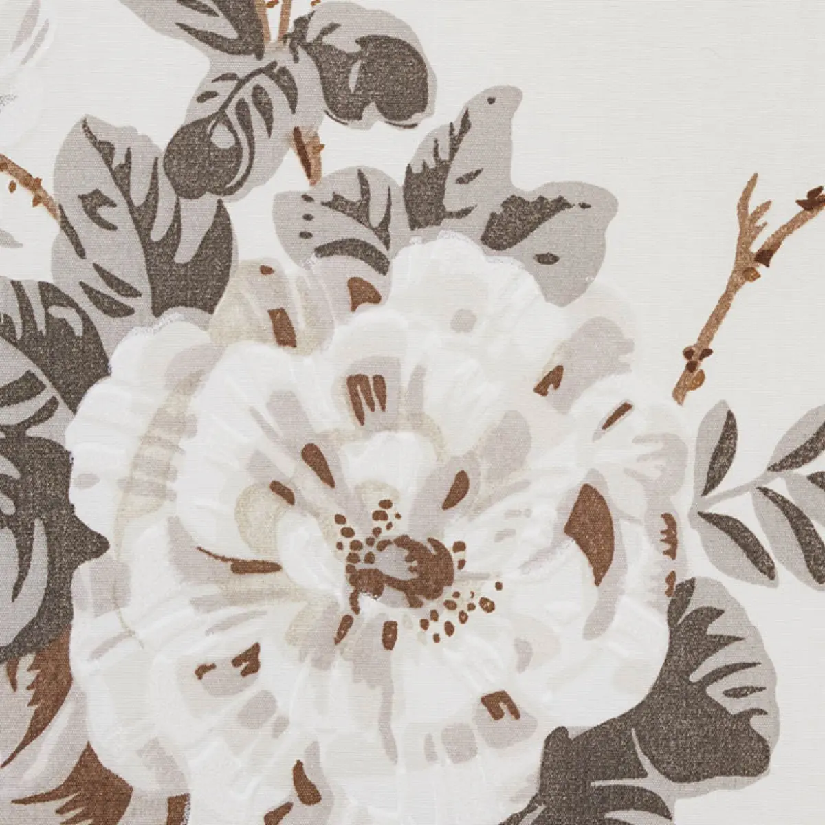 BETTY CHINTZ_ CHARCOAL