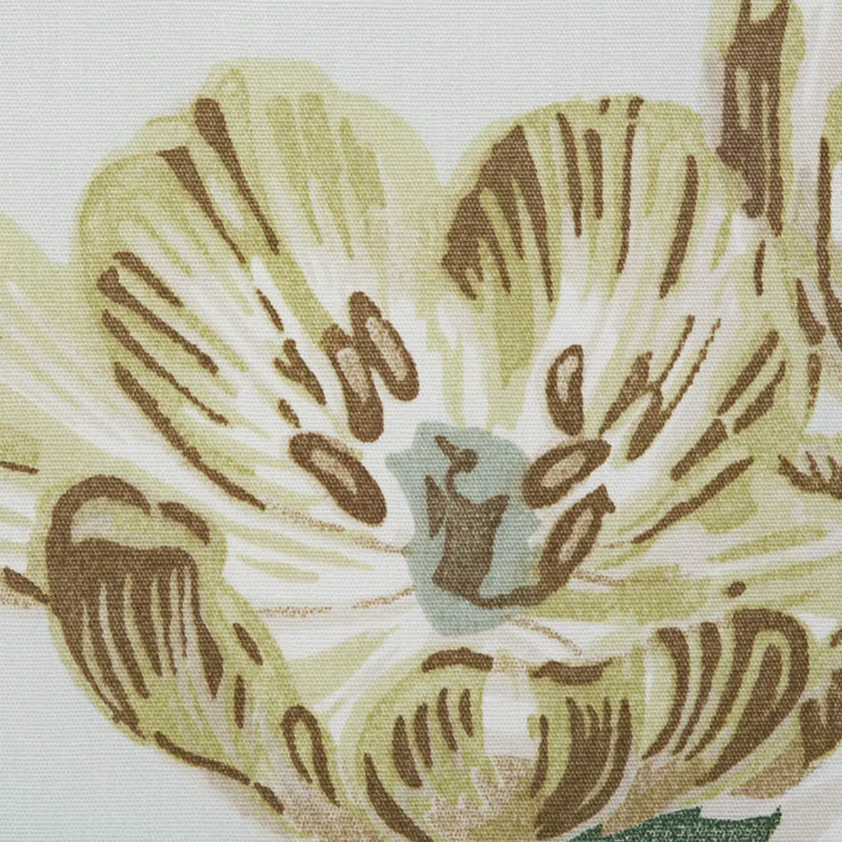 BETTY CHINTZ_ CELADON
