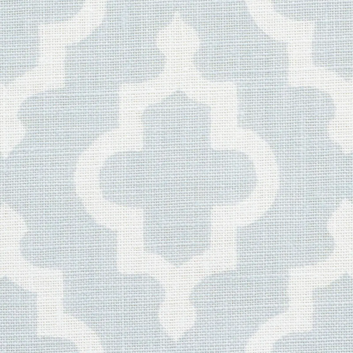 JAKE_ ORPINGTON BLUE