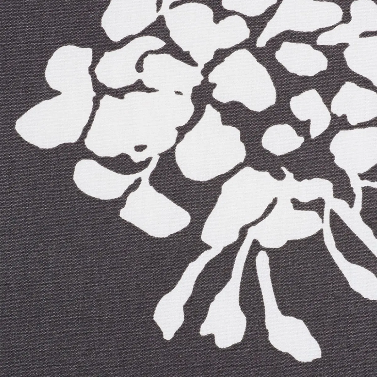PENNICK CHINTZ_ BLACK