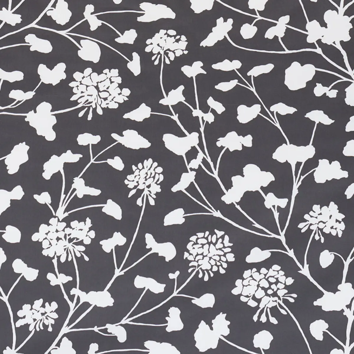 PENNICK CHINTZ_ BLACK