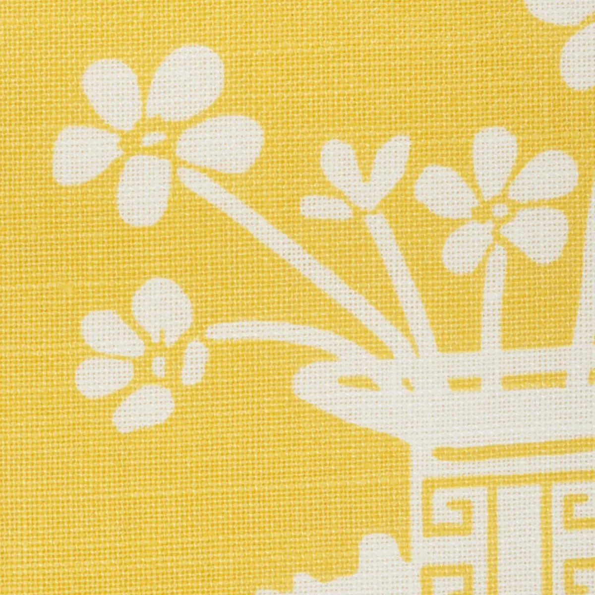 HELLENE_ YELLOW