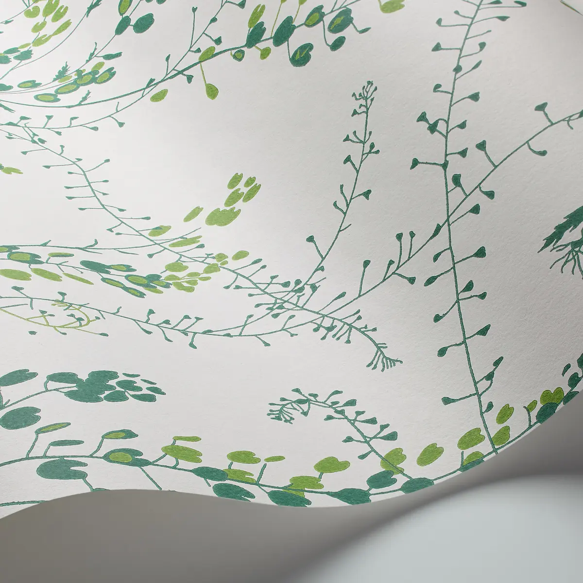 BLADRANKER_ LEAF