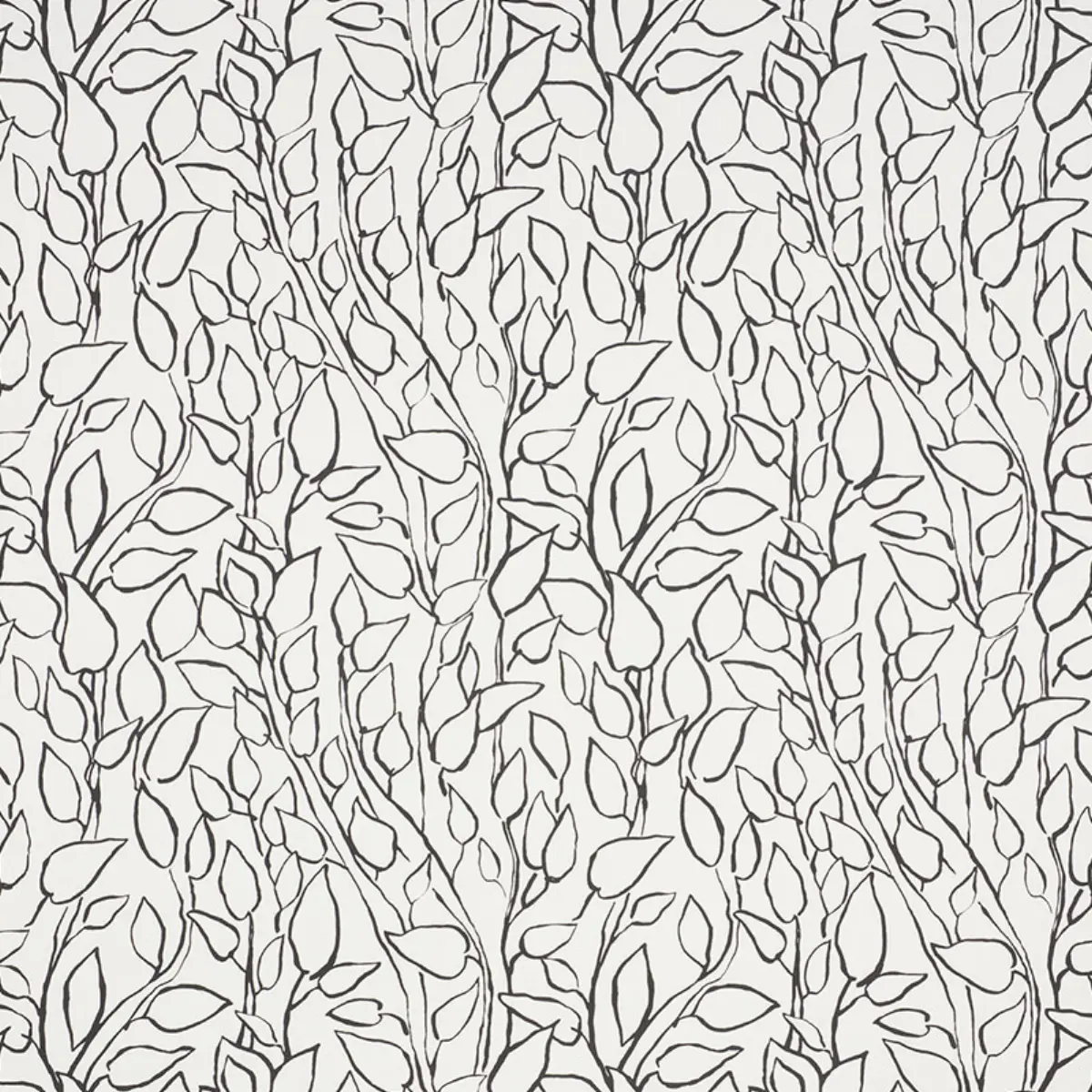 SOLANDRA VINE_ BLACK